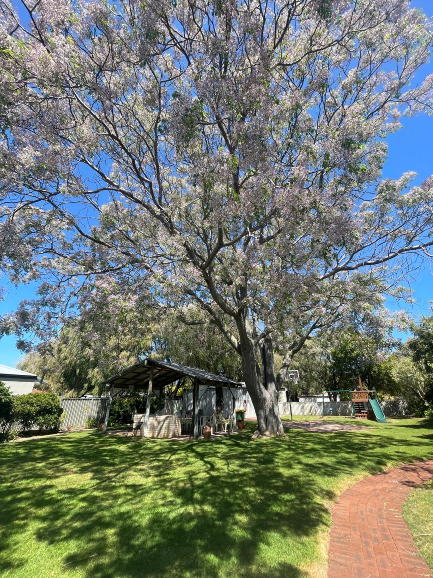 Busselton Jetty Chalets Hotel Luaran gambar